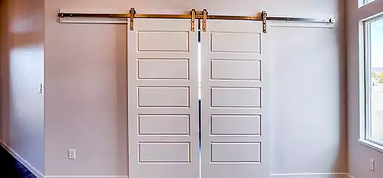 Glass Barn Door with Installation Hardware Kit Warren