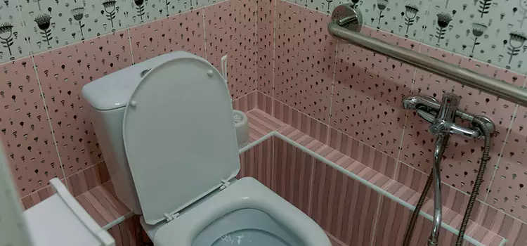 Meeting Diverse Needs With Accessible Restroom Solutions in Warren, MI